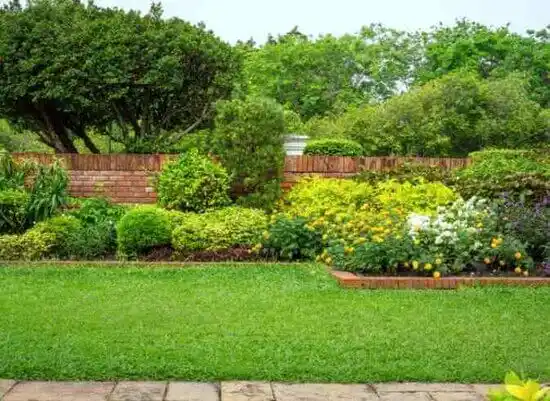 landscaping services Ballenger Creek